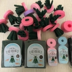 メダカの産卵床
