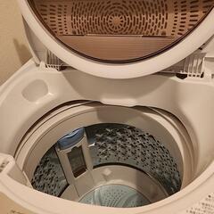 家電 生活家電 洗濯機の画像