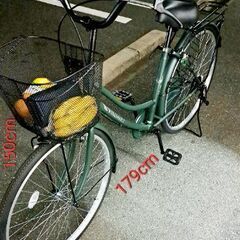 ファミリー自転車 (S-Tech)