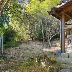 売り山林　総額２５０万円　土地　347.87坪 - 茨木市