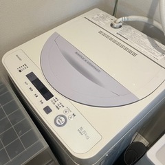 家電 生活家電 洗濯機