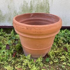 素焼き 植木鉢　直径30cm　イタリア製の画像