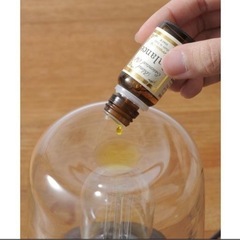 【定価13,800】ブルーノ ノスタルアロマランプの画像