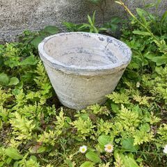 素焼き　植木鉢　グレー