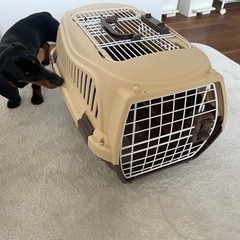 犬用クレートの画像