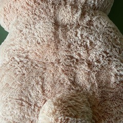 大きなクマのぬいぐるみの画像