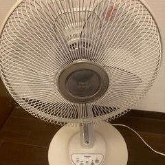 TOSHIBA 扇風機