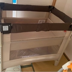 決まりました　ココネルエアー　ココア