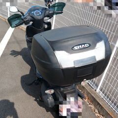 アドレス110　７月引き渡し予定です。の画像
