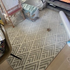 カーペット・絨毯