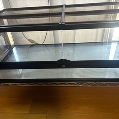 エキゾテラグラスゲージの画像
