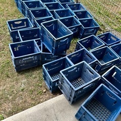 スポーツ 野球