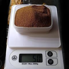 おとひめ b2の画像