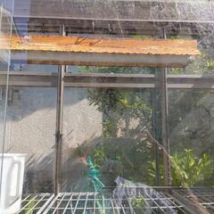 現在取引交渉中です。温室の画像
