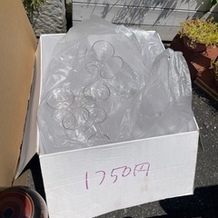 【リフレッシュプロジェクト227/300】プラコップ　グラスみた...