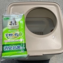 猫　トイレ