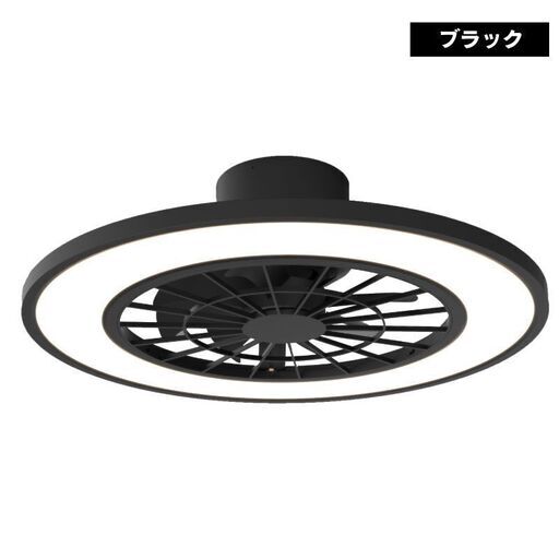 アウトレット☆シーリングファンライト 10畳用 ブラック 2個 imgrc0091885454.jpg