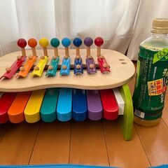 森のメロディーメーカー