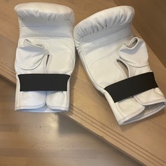 練習用 ボクシンググローブの画像