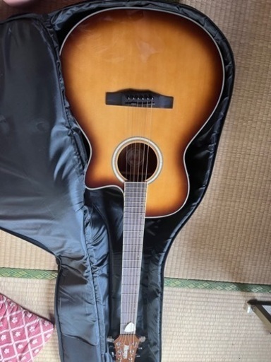 楽器 弦楽器、ギター