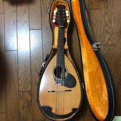【お譲り先決まりました】マンドリン　お譲りします