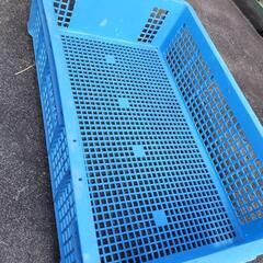 野菜コンテナ　収穫コンテナ　平型大