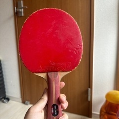 卓球ラケット tsp
