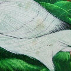 額装 バリ島 絵画 木製飾彫り枠 143×93cm 南の島 熱帯自然植物 鳥 花 サイン バリ雑貨 札幌市北区屯田の画像