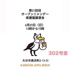 🐈‍⬛🐈譲渡会があります🐈🐈‍⬛