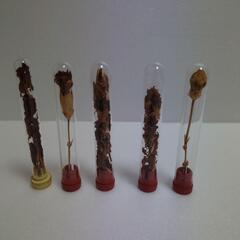 ドライフラワー　インテリア　レトロ　花　ハンドメイド