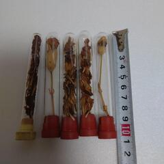 ドライフラワー　インテリア　レトロ　花　ハンドメイドの画像
