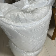 [ニトリ]家具 敷布団 セミダブルの画像