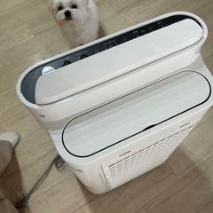 空気清浄機【シャープ】🍋‍🟩中古の画像