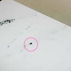 大理石風リビングテーブル2個セットの画像