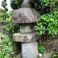 庭石
の画像