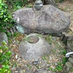 庭石
の画像