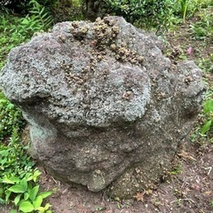 庭石
の画像