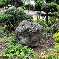 庭石
の画像