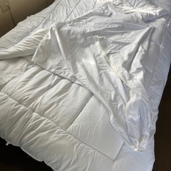 未使用の掛け布団