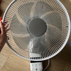 シィーネット 壁掛け扇 CKDF307 WH