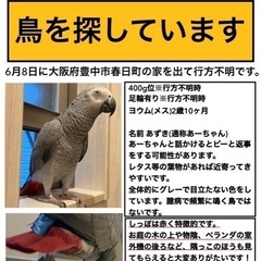 6月8日豊中市春日町よりロストしてしまいました。