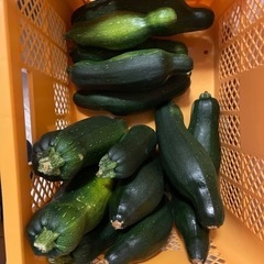 新鮮ズッキーニの食品の画像