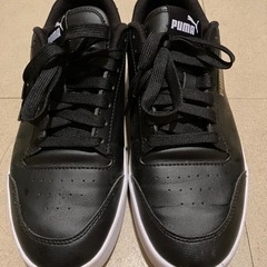 PUMA 25cm  (US7/ EUR39)プーマ アップ ス...