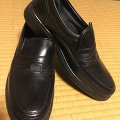 GOLF 25.5cm   EEEの画像