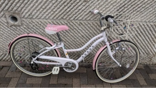 子供用自転車　ブリヂストン　ワイルドベリー　24インチ