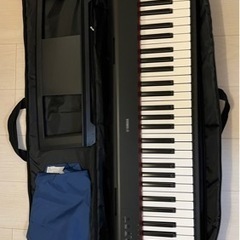 楽器 鍵盤楽器、ピアノ