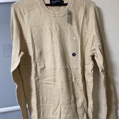 ニット(未使用・アバクロ・M) の画像