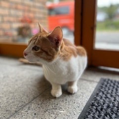 遊びにおいで🐾みんなのアトリエ体験会vol.2 - ワークショップ