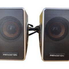 【決まりました】★PRINCETON スピーカー PSP-DPRS