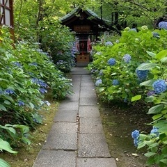 神社⛩🐉で心を研ぎ澄ます✨️🙏 - その他
